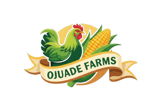 Smart Gadgets Store KD