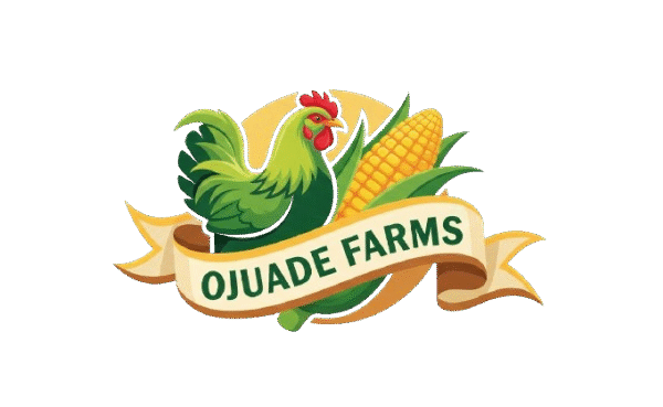 Smart Gadgets Store KD